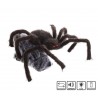 Araignée brune et noire 28 X 50 X 70 Cm