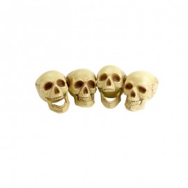 4 Crânes Sourires