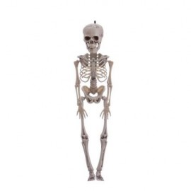 Pendentif squelette 11 X 5 X 40 Cm