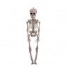 Pendentif squelette 11 X 5 X 40 Cm