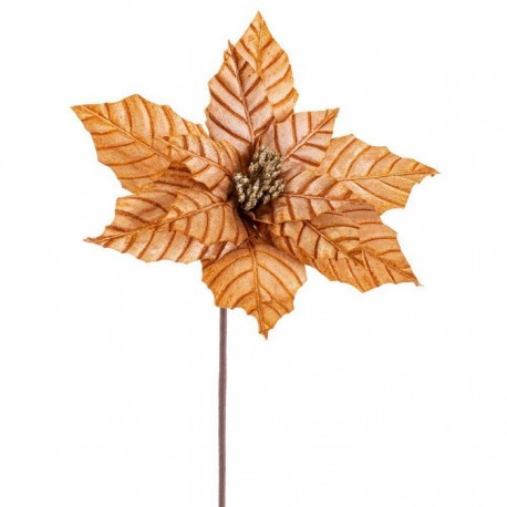 Poinsettia Or 50 X 30 Cm