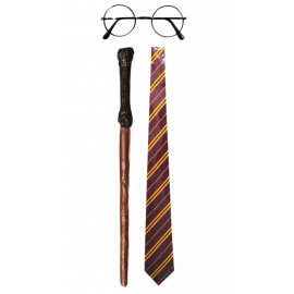 Kit de Harry Potter