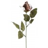 Rose en Chocolat 20 g