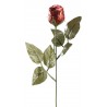 Rose en Chocolat 20 g