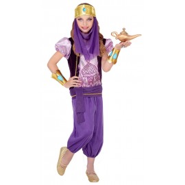 Costume de Princesse Arabe