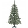 Arbre Douglas 696 Branches 210 Cms