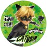 Platos Cat Noir