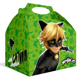 Caja Cat Noir