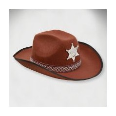 Chapeaux de Cowboy