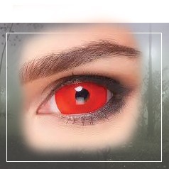 Lentilles Rouges