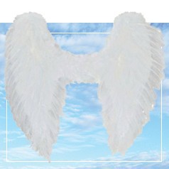 Accessoires d'Ange