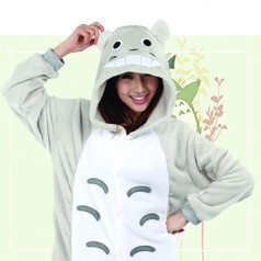 Kigurumi Totoro