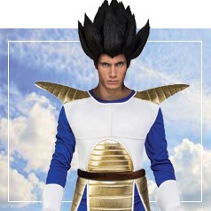 Déguisements Éco