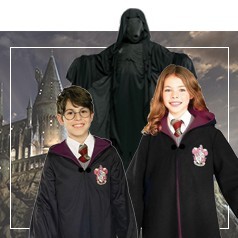 Déguisements Harry Potter