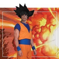 Déguisements de Goku 